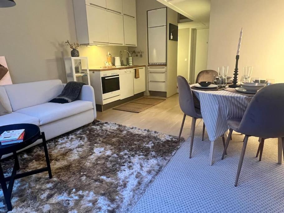 Koselig Leilighet I Sentrum Av Oslo Med Byutsikt! Exterior photo